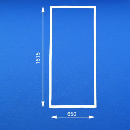 Уплотнитель для холодильника Бирюса 65x161.5 0090410000-02